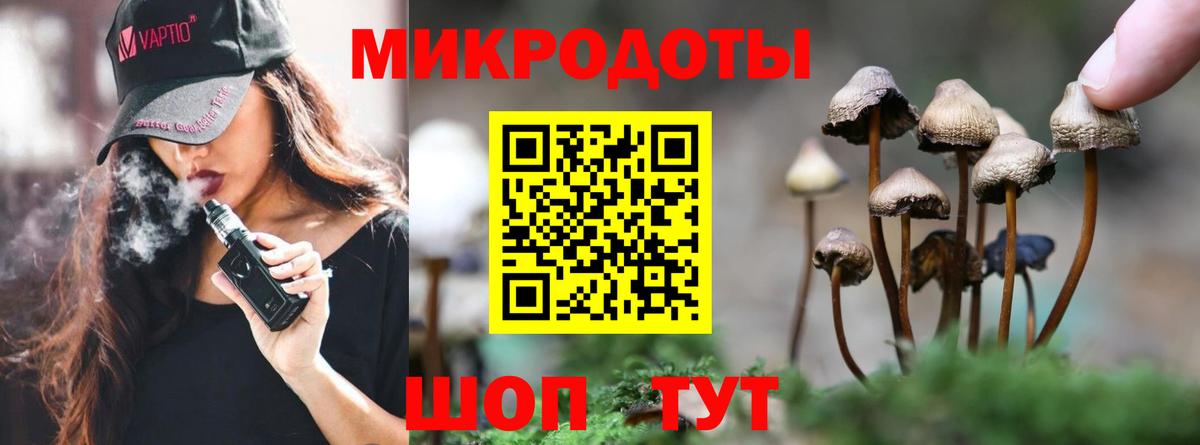 Дзержинский  Псилоцибиновые грибы Cubensis  Вход с VPN 